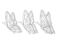 Butterfly Set 3 Coloring Pages Pdf, Free Vectors File